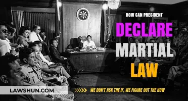 Martial Law: Presidential Power Play