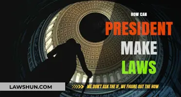 The President's Lawmaking Power