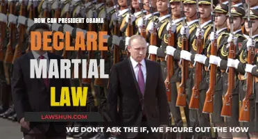 Martial Law: Obama's Power Move?