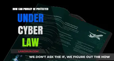Protecting Privacy: Cyber Law's Role