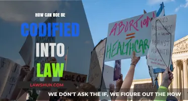 Codifying Roe: A Legal Strategy
