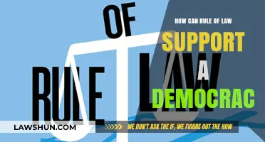 The Rule of Law: Democracy's Foundation