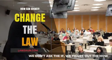 Changing Laws: Society's Power and Influence
