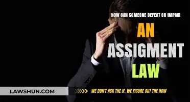 Strategies to Impair Assignment Law and Win