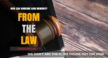 Immunity from Law: Strategies for Evading Legal Consequences