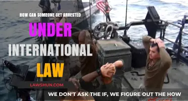 Arrests and International Law: Who Can Be Detained?