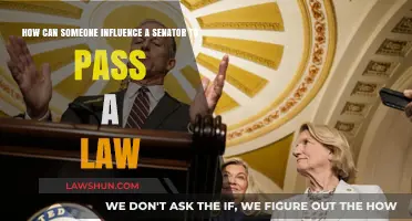 Ways to Lobby Your Senator Effectively