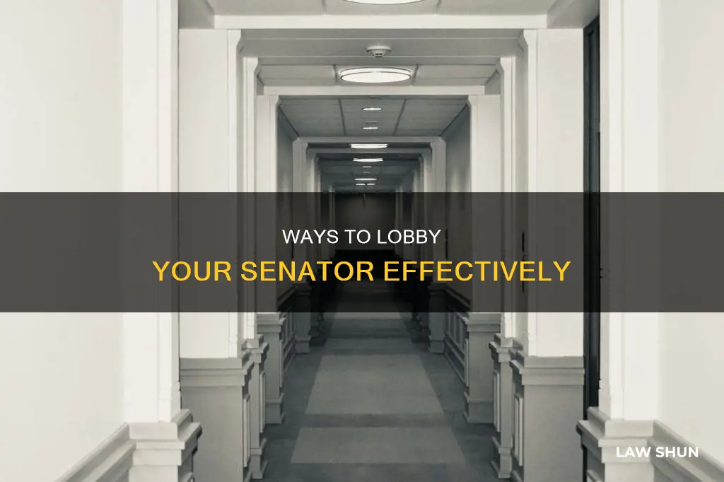 how can someone influence a senator to pass a law