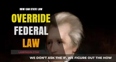 State Law vs Federal Law: Who Wins?