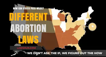 US Abortion Laws: State-by-State Divide