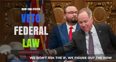 States' Veto Power Over Federal Law