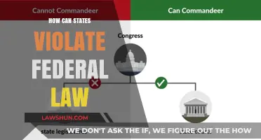 Federal Law: States' Violation and Sovereignty