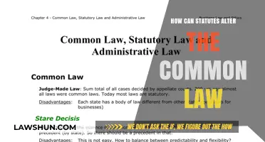 Exploring the Evolution of Common Law and Statutes