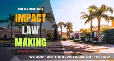 Term Limits: Efficient Lawmaking or Hindrance?