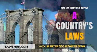 Terrorism's Impact: Changing Laws and Nations