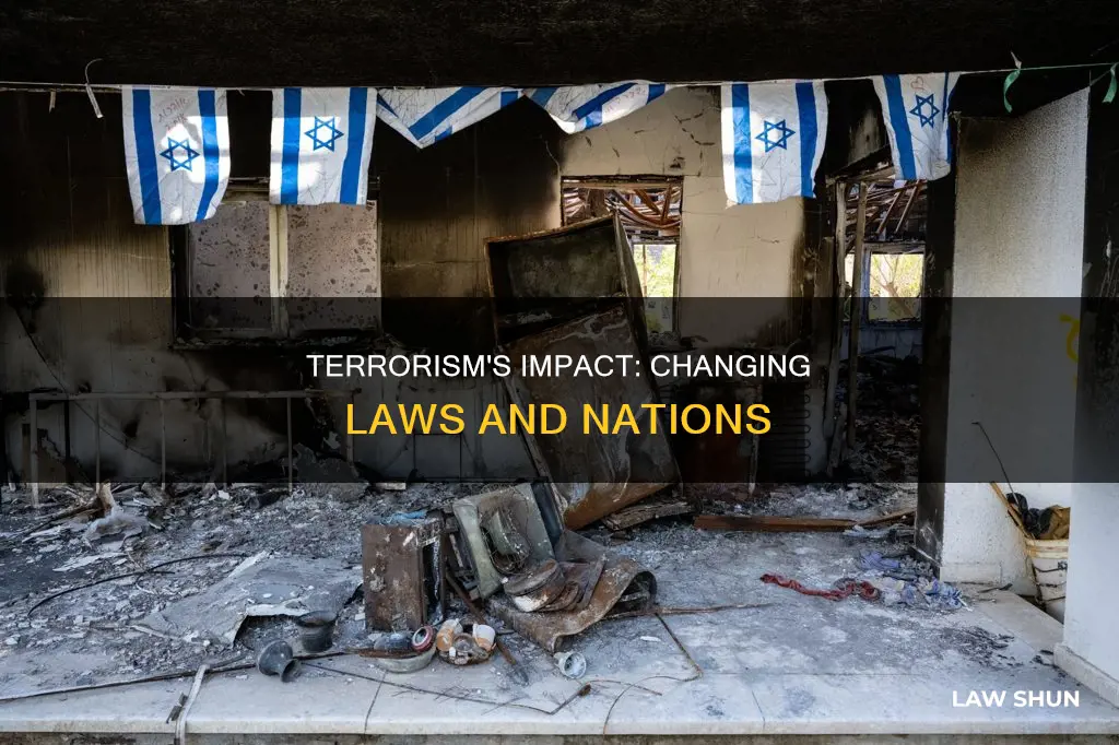 how can terrorism impact a country