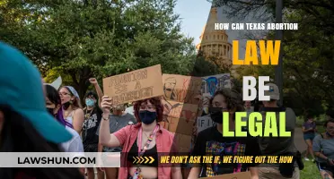 Texas Abortion Law: Legal Loophole or Injustice?