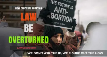 Texas Abortion Law: Strategies for Overturning It