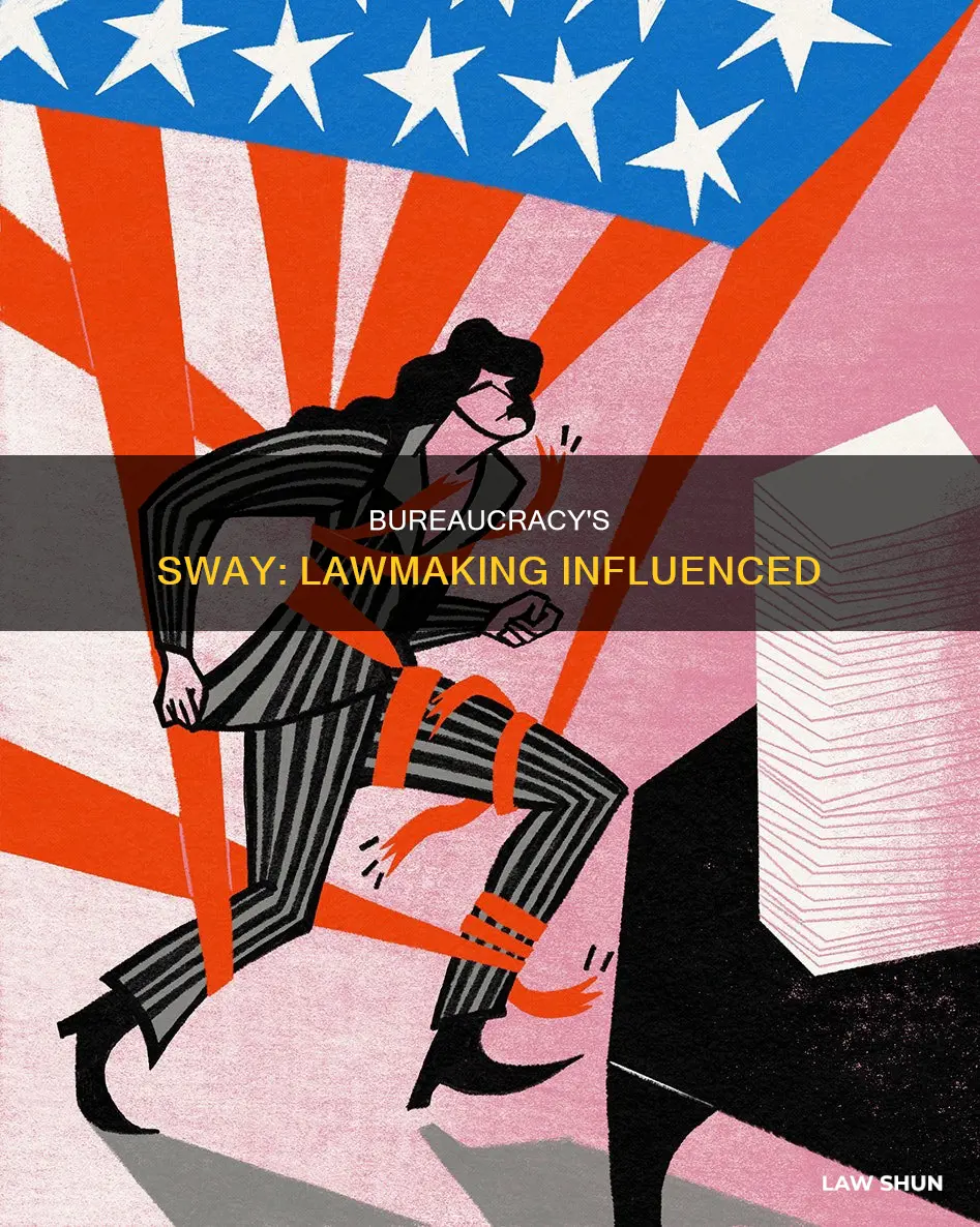 how can the bureaucracy influence law making