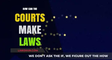 The Court's Lawmaking Power