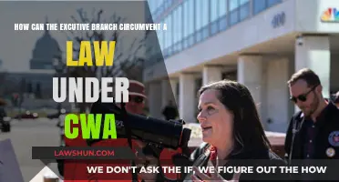 Executive Branch: Bending Laws with CWA