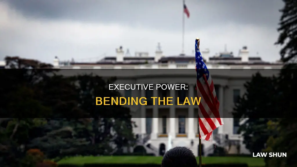 how can the executive branch avoid laws