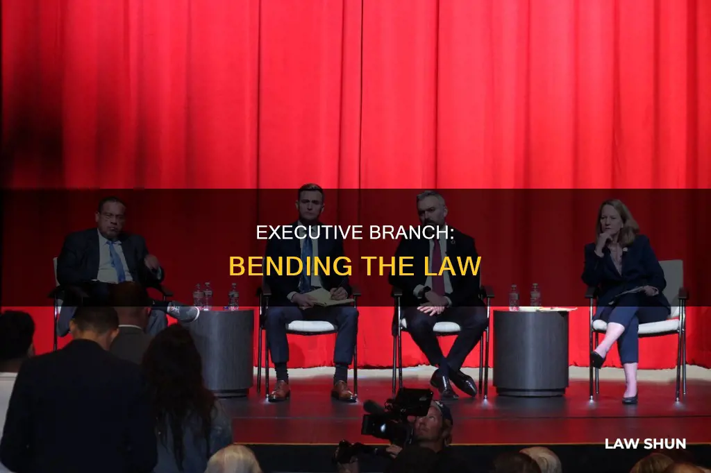 how can the executive branch circumvent a law