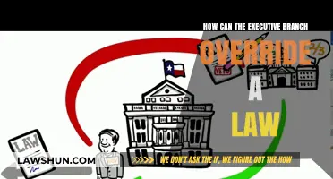 Executive Branch: Overriding Laws and Its Limits