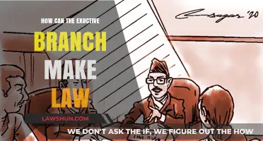 Executive Power: Lawmaking Beyond Legislation