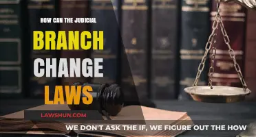 The Judicial Branch: Changing Laws, Shaping Society
