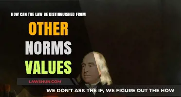 Laws vs Norms: What Sets Them Apart?