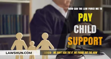 Child Support: When Can Courts Intervene?
