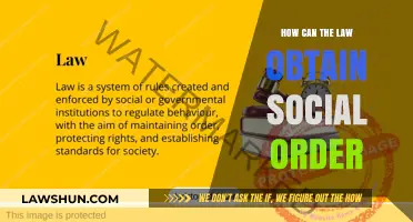 The Law's Role: Creating Social Order