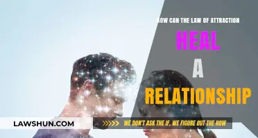 Attracting Healing: Mending Relationships with the Law of Attraction