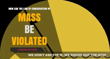 Can Mass Conservation Laws Be Broken?
