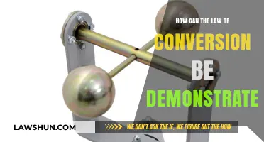 Understanding the Law of Conversion: Practical Examples