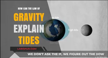 Gravity's Pull: Understanding Tides