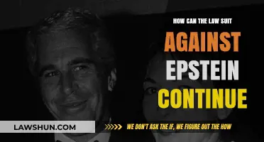 The Epstein Case: Justice Delayed, Not Denied
