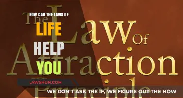 Life's Laws: Your Guide to Success