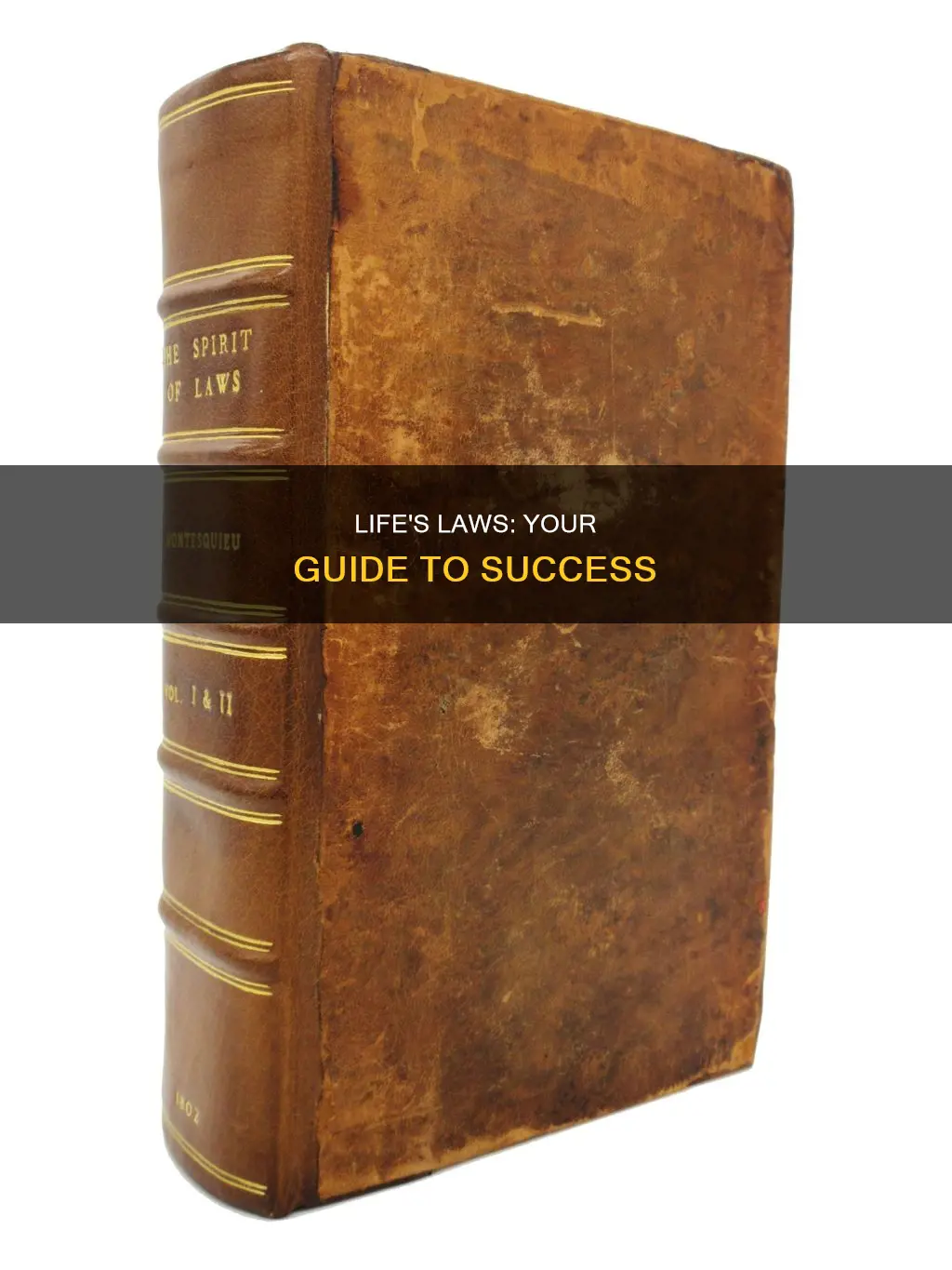 how can the laws of life help you