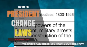 The President's Power: Changing Laws