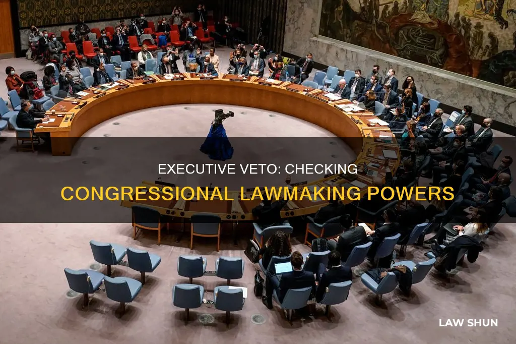 how can the president check congress power to create laws