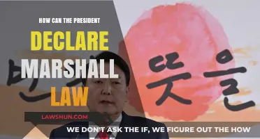 The President's Power: Declaring Martial Law
