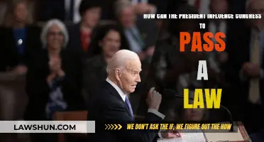 Presidential Persuasion: Influencing Congress to Pass Laws