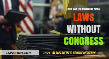 Executive Power: Lawmaking Without Congress