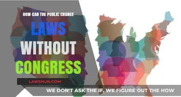 Influencing Laws: Strategies for Public-Driven Change