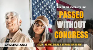 States' Power: Passing Laws Without Congress