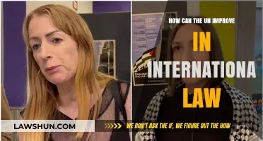 Improving International Law: The UN's Role