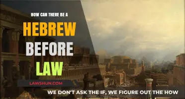 The Hebrew Language: Pre-Law Existence