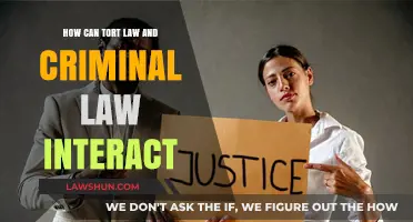 Tort and Criminal Law: Overlapping Interests and Complexities